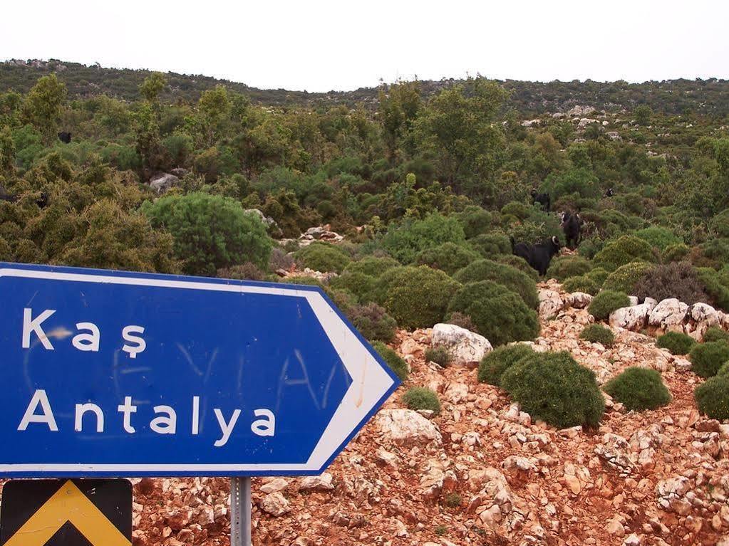 Ani Pension Hotel Kaş Kültér fotó